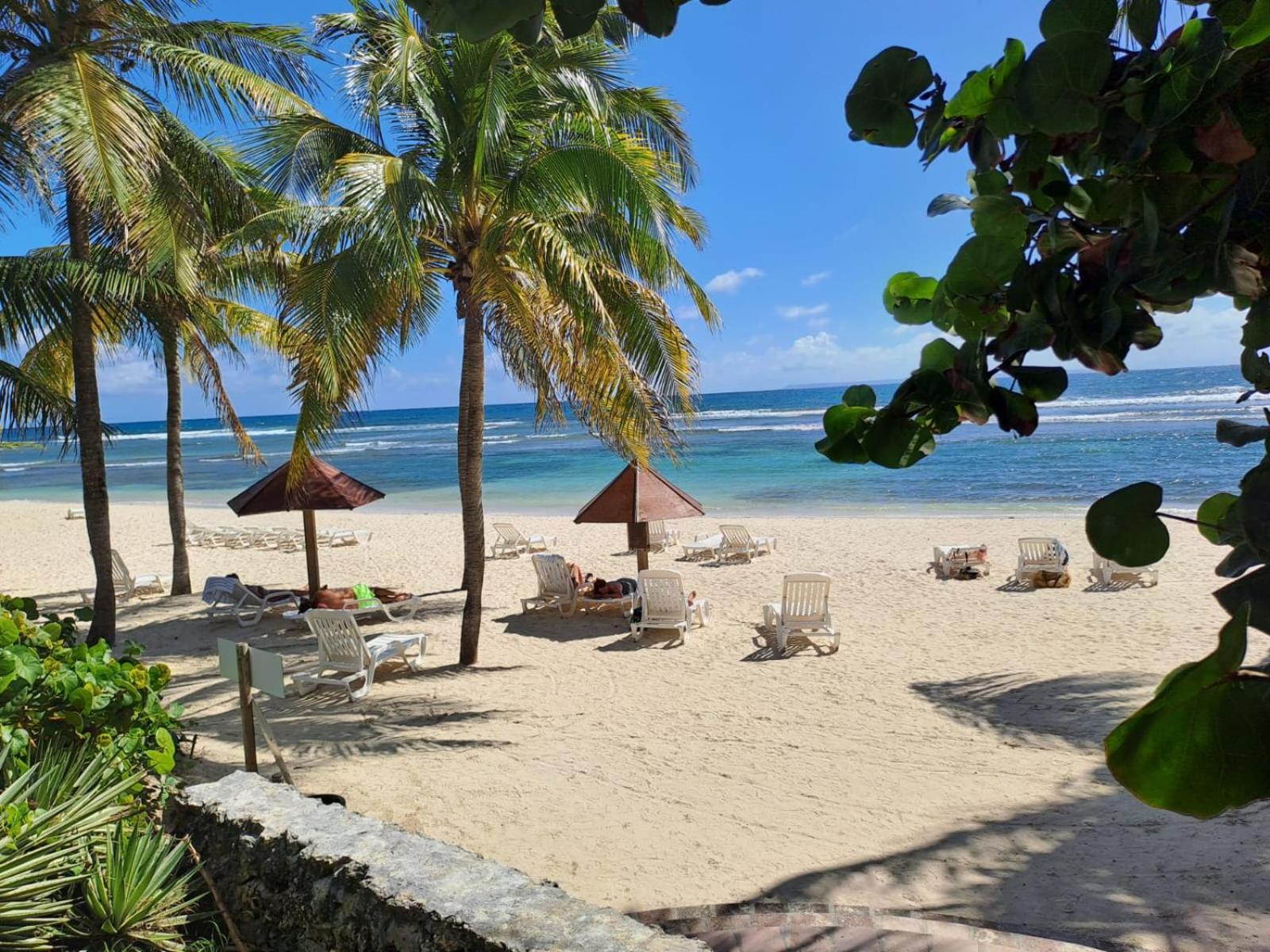 Grand Studio Vue Mer Exceptionnelle, Piscines, Plages. サンタンヌ エクステリア 写真